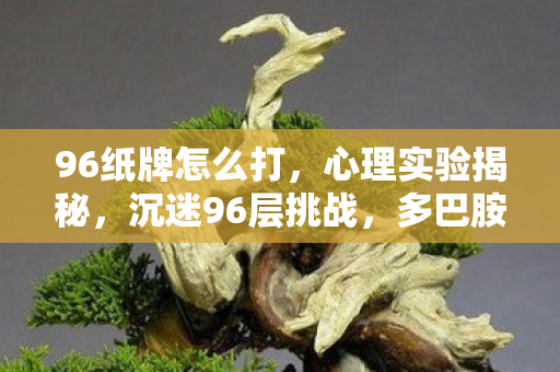 96纸牌怎么打,心理实验揭秘,沉迷96层挑战,多巴胺陷阱细思极恐 96纸牌怎么打,心理实验揭秘,沉迷96层挑战,多巴胺陷阱细思极恐