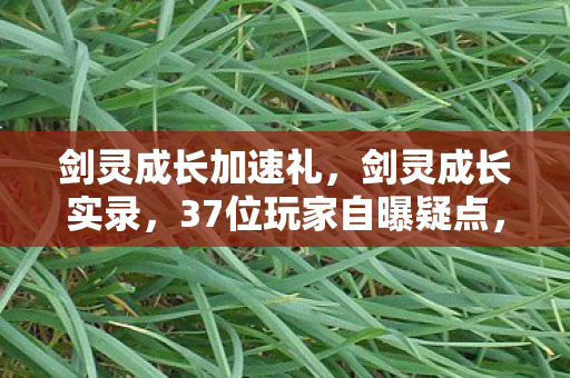 剑灵成长加速礼，剑灵成长实录，37位玩家自曝疑点，绷不住的网吧百态