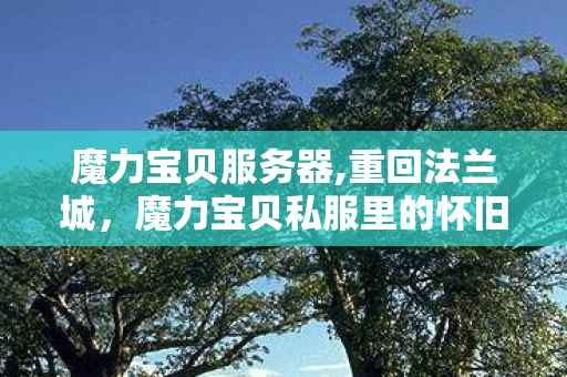 魔力宝贝服务器,重回法兰城,魔力宝贝私服里的怀旧冒险新体验 魔力宝贝服务器,重回法兰城,魔力宝贝私服里的怀旧冒险新体验