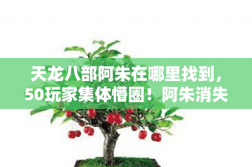 天龙八部阿朱在哪里找到,50玩家集体懵圈!阿朱消失之谜竟让大神也绷不住? 天龙八部阿朱在哪里找到,50玩家集体懵圈!阿朱消失之谜竟让大神也绷不住?