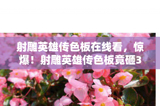 射雕英雄传色板在线看，惊爆！射雕英雄传色板竟砸3000万，背后隐情让人吓一跳！