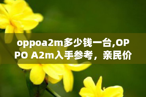 oppoa2m多少钱一台,OPPO A2m入手参考,亲民价位段的实用型新机选购指南 oppoa2m多少钱一台,OPPO A2m入手参考,亲民价位段的实用型新机选购指南