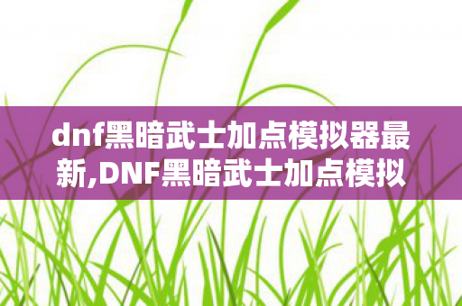 dnf黑暗武士加点模拟器最新,DNF黑暗武士加点模拟器实用指南，打造适配版本的最优输出方案