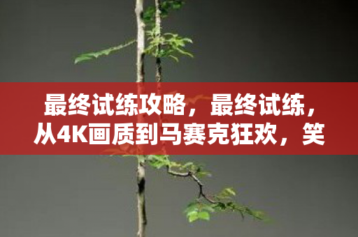最终试练攻略,最终试练,从4K画质到马赛克狂欢,笑着笑着就哭成狗的真相 最终试练攻略,最终试练,从4K画质到马赛克狂欢,笑着笑着就哭成狗的真相