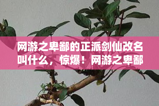 网游之卑鄙的正派剑仙改名叫什么，惊爆！网游之卑鄙的正派剑仙3000万隐情曝光，策划案吓你一跳！