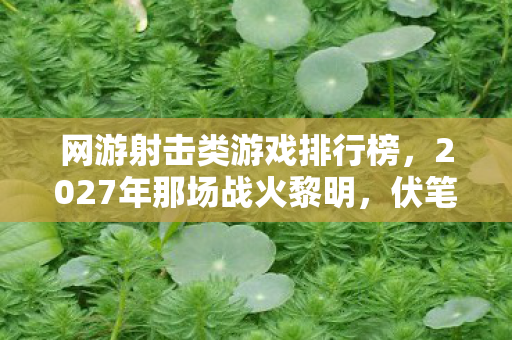 网游射击类游戏排行榜，2027年那场战火黎明，伏笔藏了十年，想起时鼻子一酸