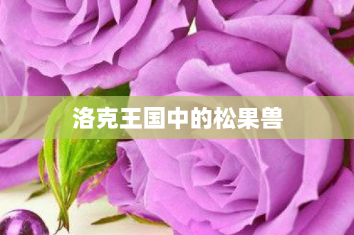 洛克王国中的松果兽图片