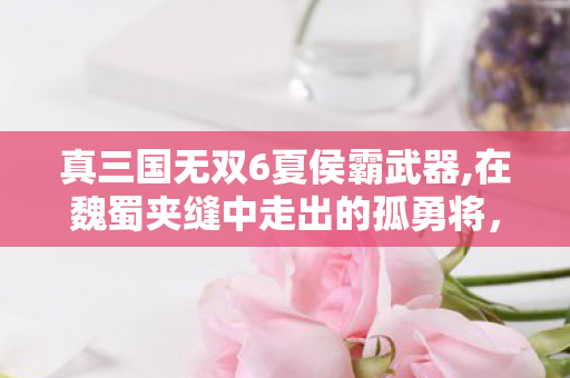 真三国无双6夏侯霸武器,在魏蜀夹缝中走出的孤勇将，真三国无双6里夏侯霸的鲜活人物弧光