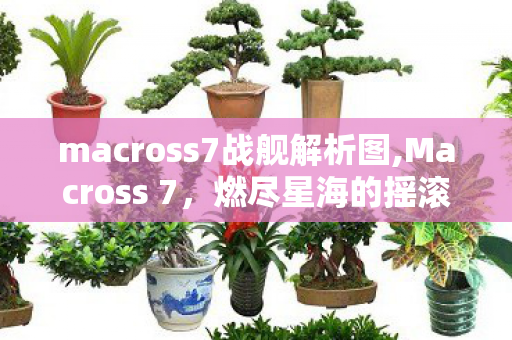 macross7战舰解析图,Macross 7，燃尽星海的摇滚浪漫，是超时空要塞最特别的热血注脚
