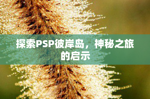 探索PSP彼岸岛图片