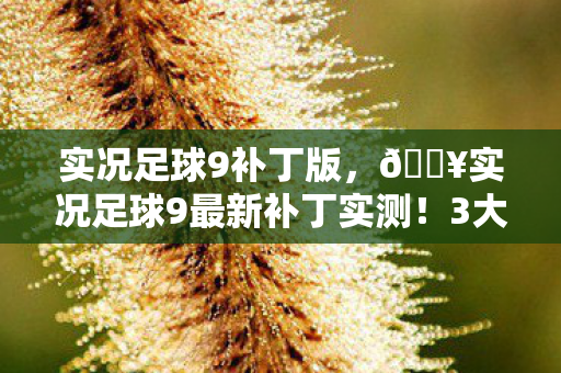 实况足球9补丁版，🔥实况足球9最新补丁实测！3大升级让游戏体验爽到飞起！