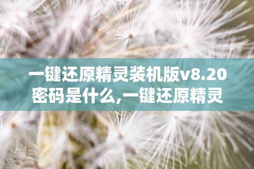 一键还原精灵装机版v8.20密码是什么,一键还原精灵装机版，新手系统维护的省心实用利器
