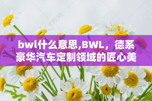 bwl什么意思,BWL,德系豪华汽车定制领域的匠心美学标杆 bwl什么意思,BWL,德系豪华汽车定制领域的匠心美学标杆