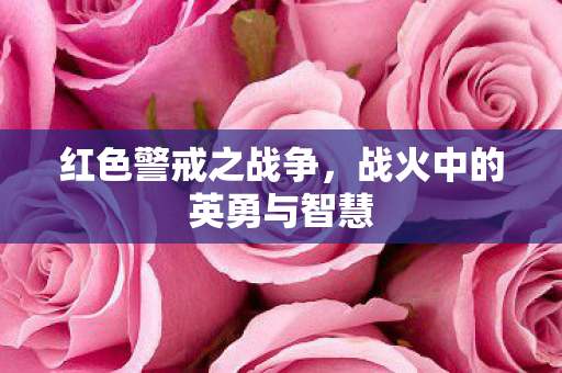 战火中的英勇与智慧图片