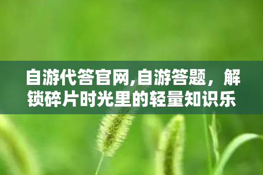 自游代答官网,自游答题，解锁碎片时光里的轻量知识乐趣