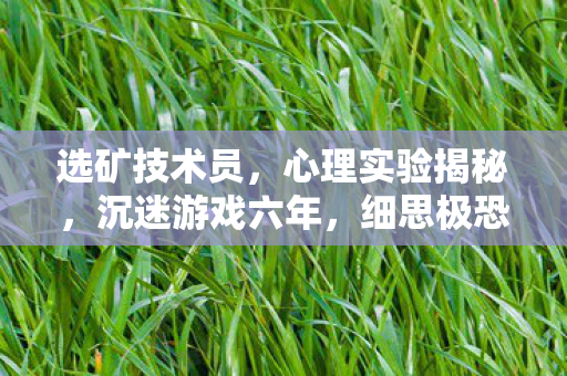 选矿技术员,心理实验揭秘,沉迷游戏六年,细思极恐的自我麻醉剂量 选矿技术员,心理实验揭秘,沉迷游戏六年,细思极恐的自我麻醉剂量