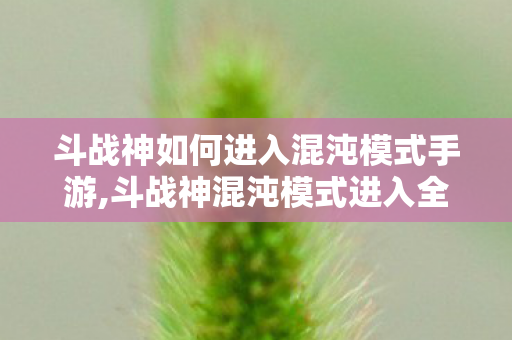 斗战神如何进入混沌模式手游,斗战神混沌模式进入全指南,解锁高收益挑战副本的正确方法 斗战神如何进入混沌模式手游,斗战神混沌模式进入全指南,解锁高收益挑战副本的正确方法