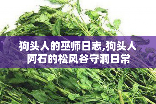 狗头人的巫师日志,狗头人阿石的松风谷守洞日常 狗头人的巫师日志,狗头人阿石的松风谷守洞日常
