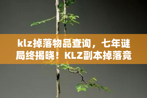 klz掉落物品查询，七年谜局终揭晓！KLZ副本掉落竟成绝版泪目彩蛋