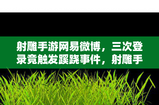 射雕手游网易微博,三次登录竟触发蹊跷事件,射雕手游网易背后真相让人后背发凉 射雕手游网易微博,三次登录竟触发蹊跷事件,射雕手游网易背后真相让人后背发凉