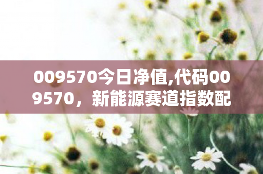 009570今日净值,代码009570,新能源赛道指数配置的实用观察 009570今日净值,代码009570,新能源赛道指数配置的实用观察