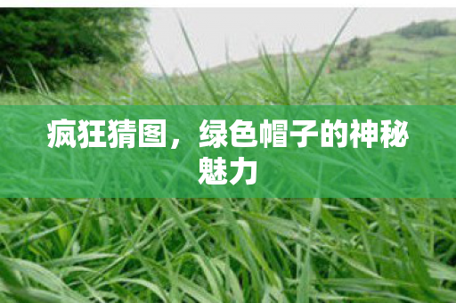 绿色帽子的神秘魅力图片