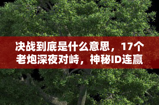 决战到底是什么意思,17个老炮深夜对峙,神秘ID连赢300局后消失,这局我绷不住了! 决战到底是什么意思,17个老炮深夜对峙,神秘ID连赢300局后消失,这局我绷不住了!