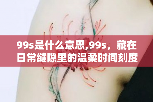 99s是什么意思,99s,藏在日常缝隙里的温柔时间刻度 99s是什么意思,99s,藏在日常缝隙里的温柔时间刻度