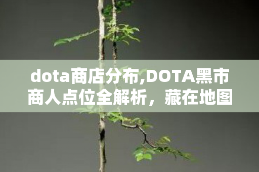 dota商店分布,DOTA黑市商人点位全解析,藏在地图里的隐秘补给站 dota商店分布,DOTA黑市商人点位全解析,藏在地图里的隐秘补给站