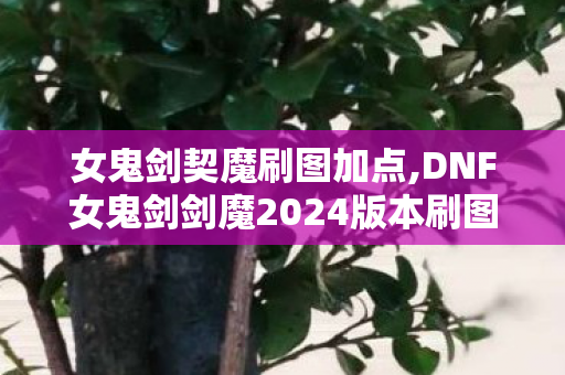女鬼剑契魔刷图加点,DNF女鬼剑剑魔2024版本刷图加点全指南 兼顾搬砖与团本输出 女鬼剑契魔刷图加点,DNF女鬼剑剑魔2024版本刷图加点全指南 兼顾搬砖与团本输出