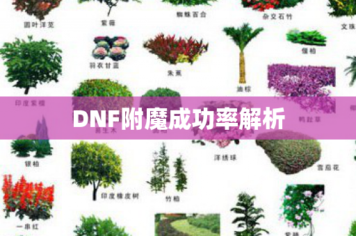 DNF附魔成功率解析图片