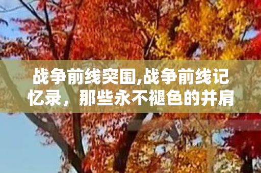 战争前线突围,战争前线记忆录，那些永不褪色的并肩时刻