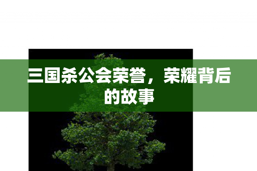 三国杀公会荣誉图片