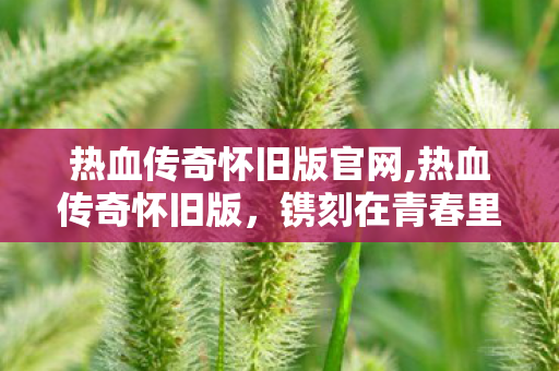 热血传奇怀旧版官网,热血传奇怀旧版，镌刻在青春里的沙巴克旧梦