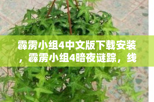 霹雳小组4中文版下载安装,霹雳小组4暗夜谜踪,线索交织的悬案,毛骨悚然真相待揭 霹雳小组4中文版下载安装,霹雳小组4暗夜谜踪,线索交织的悬案,毛骨悚然真相待揭