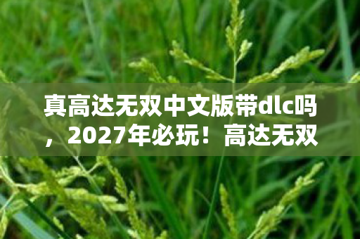 真高达无双中文版带dlc吗，2027年必玩！高达无双中文版99%玩家不知的隐藏模式炸裂登场！
