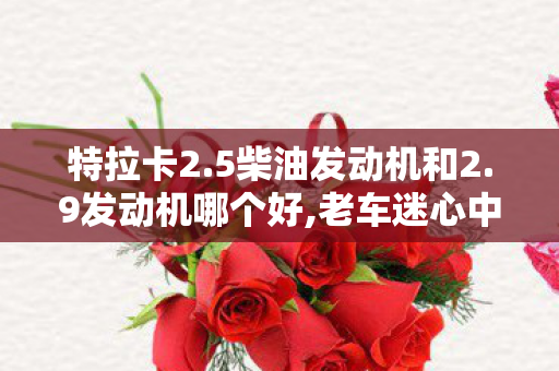 特拉卡2.5柴油发动机和2.9发动机哪个好,老车迷心中的硬派伙伴,特拉卡2.5柴油的越野情怀 特拉卡2.5柴油发动机和2.9发动机哪个好,老车迷心中的硬派伙伴,特拉卡2.5柴油的越野情怀