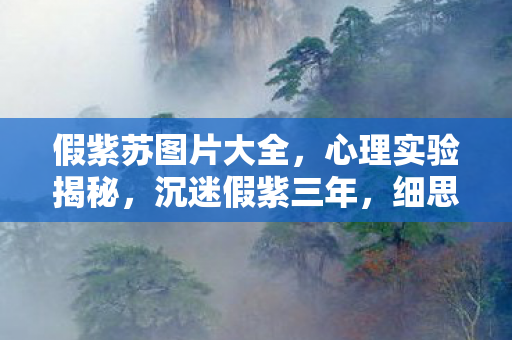 假紫苏图片大全,心理实验揭秘,沉迷假紫三年,细思极恐的自我欺骗循环 假紫苏图片大全,心理实验揭秘,沉迷假紫三年,细思极恐的自我欺骗循环