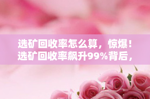 选矿回收率怎么算,惊爆!选矿回收率飙升99%背后,藏着多少不为人知的秘密? 选矿回收率怎么算,惊爆!选矿回收率飙升99%背后,藏着多少不为人知的秘密?