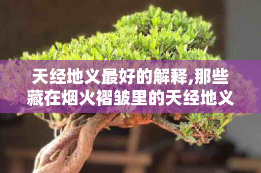 天经地义最好的解释,那些藏在烟火褶皱里的天经地义