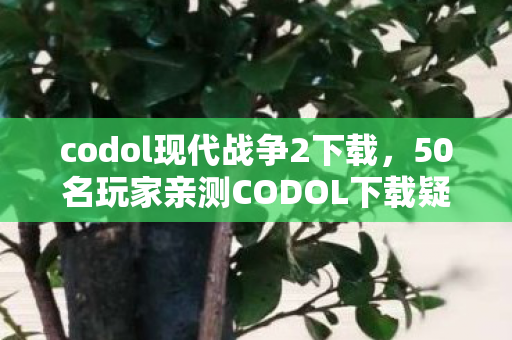 codol现代战争2下载，50名玩家亲测CODOL下载疑云，这操作谁顶得住？我当场笑到绷不住！