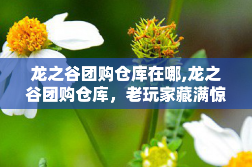 龙之谷团购仓库在哪,龙之谷团购仓库,老玩家藏满惊喜的专属福利自留地 龙之谷团购仓库在哪,龙之谷团购仓库,老玩家藏满惊喜的专属福利自留地