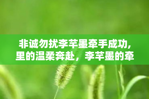 非诚勿扰李芊墨牵手成功,里的温柔奔赴，李芊墨的牵手名场面