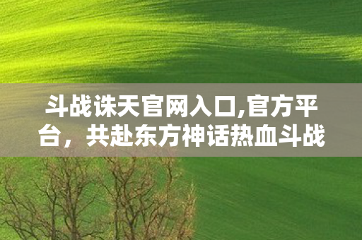 斗战诛天官网入口,官方平台,共赴东方神话热血斗战之旅 斗战诛天官网入口,官方平台,共赴东方神话热血斗战之旅
