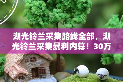 湖光铃兰采集路线全部，湖光铃兰采集暴利内幕！30万成本竟藏惊天隐情，看完吓一跳！