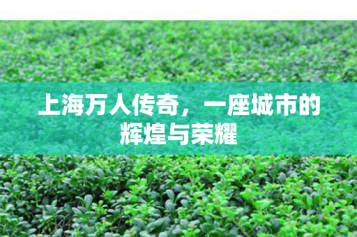 一座城市的辉煌与荣耀图片