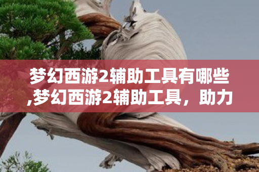 梦幻西游2辅助工具有哪些,梦幻西游2辅助工具,助力轻松游玩的实用指南 梦幻西游2辅助工具有哪些,梦幻西游2辅助工具,助力轻松游玩的实用指南