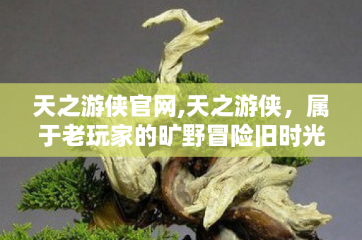 天之游侠官网,天之游侠,属于老玩家的旷野冒险旧时光 天之游侠官网,天之游侠,属于老玩家的旷野冒险旧时光