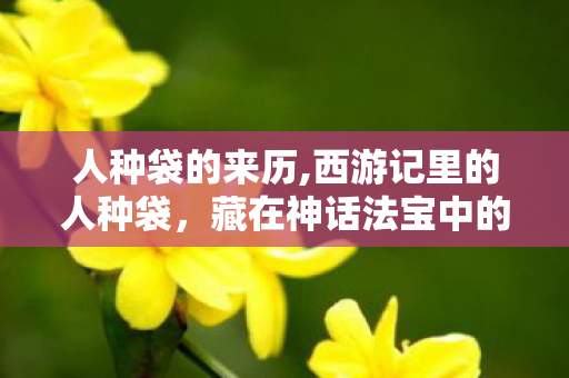 人种袋的来历,西游记里的人种袋,藏在神话法宝中的世俗生活隐喻 人种袋的来历,西游记里的人种袋,藏在神话法宝中的世俗生活隐喻