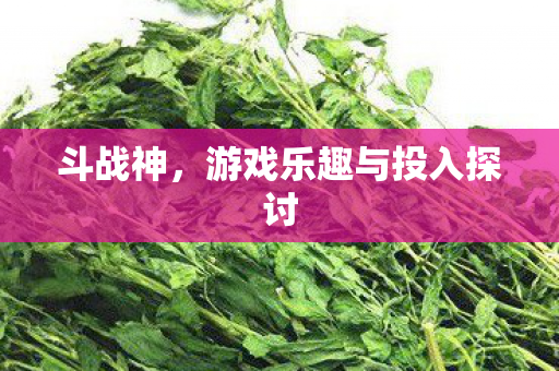游戏乐趣与投入探讨图片
